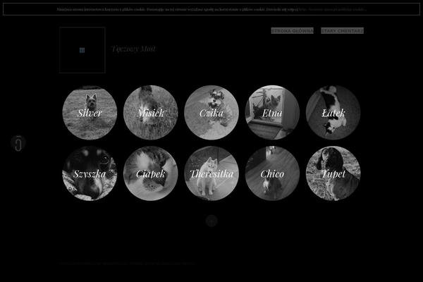 Pictorico theme site design template sample