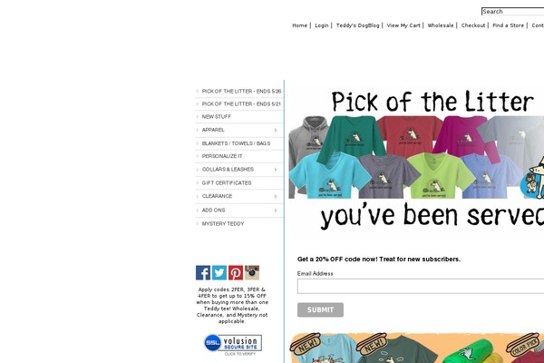 wp-boundless101 theme websites examples