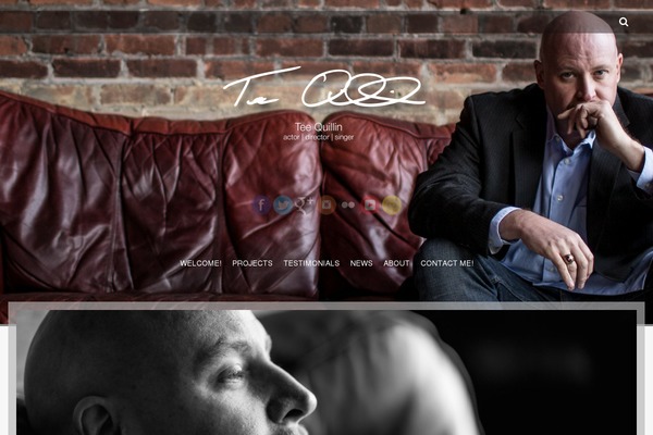 Site using Handsome Testimonials (with widgets) plugin