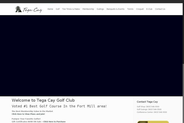 Site using Google Analytics Dashboard By Analytify plugin