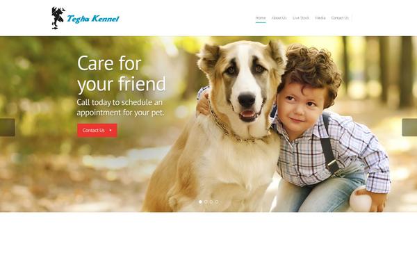 Site using Cf7-international-sms-integration plugin