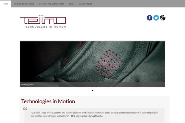 teiimo.com site used Twentytwenty-teiimo