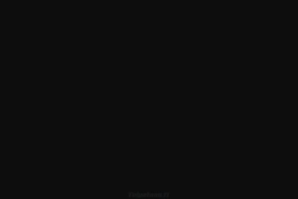 Pond theme site design template sample
