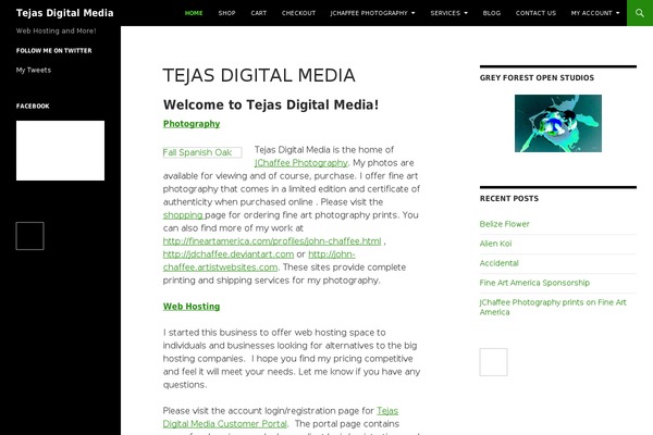 Divi Child theme site design template sample