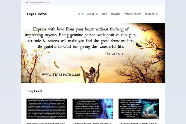 tejaspatel.me site used Mts_business