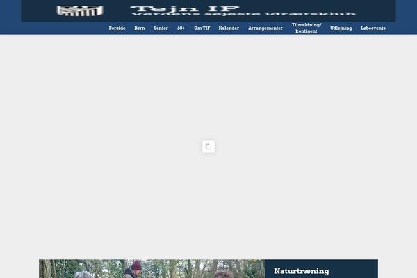 tejnif.dk site used Memoo