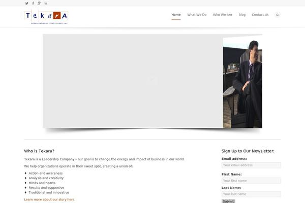 Site using Cherry-team-members plugin