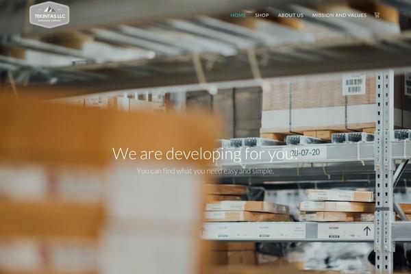The-simple theme site design template sample