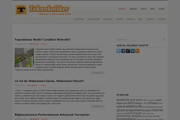 Solidmag theme websites examples