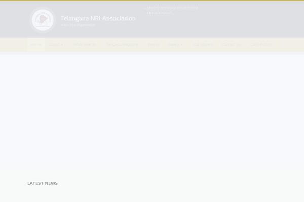 Candidate theme site design template sample
