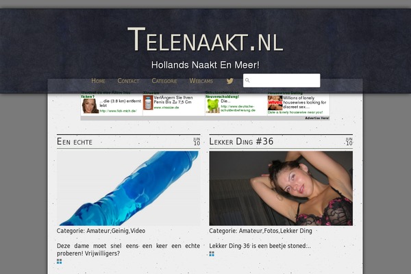telenaakt.nl site used Wp-travel-magazine