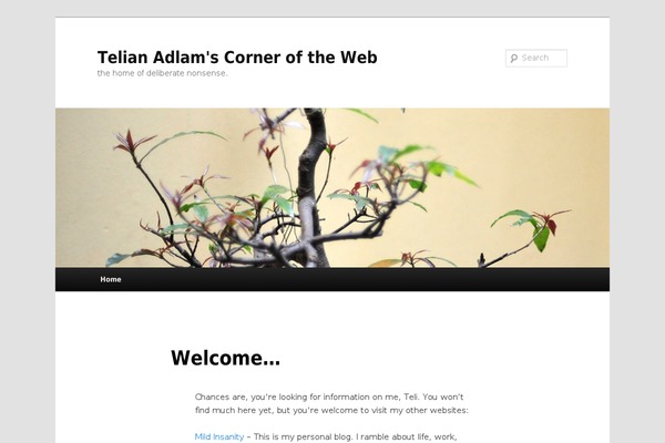Libretto theme site design template sample