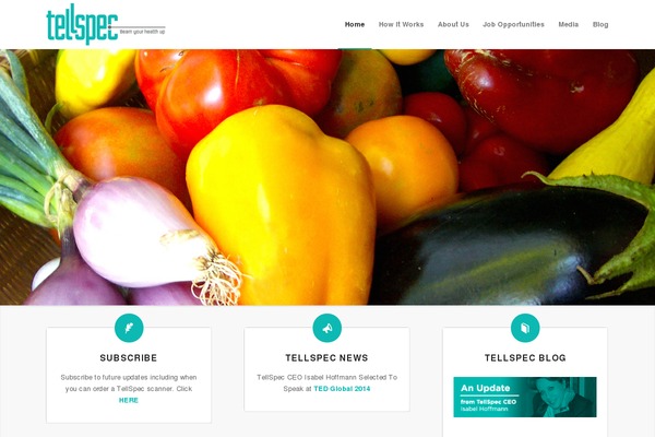 Enfold_new theme site design template sample