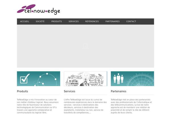 tne theme websites examples