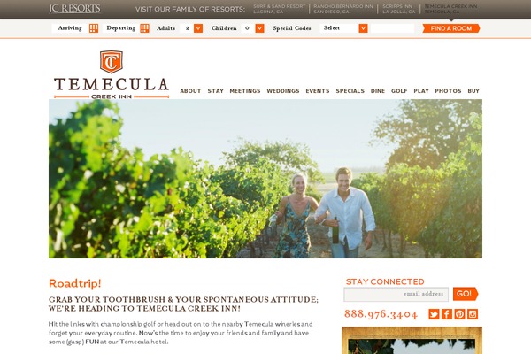 tci theme websites examples