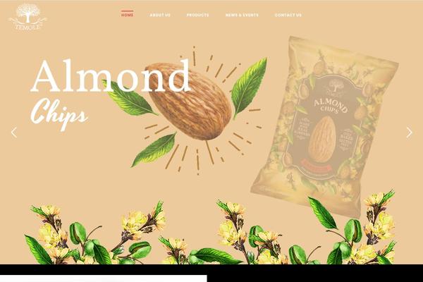 Precise theme site design template sample