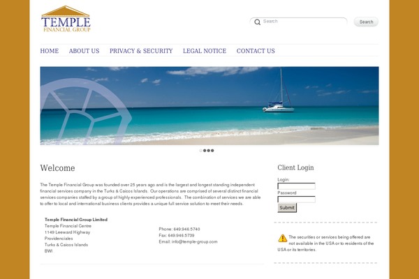 Delicate theme site design template sample