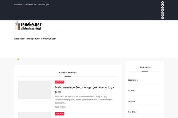 teneke.net site used Safirblog