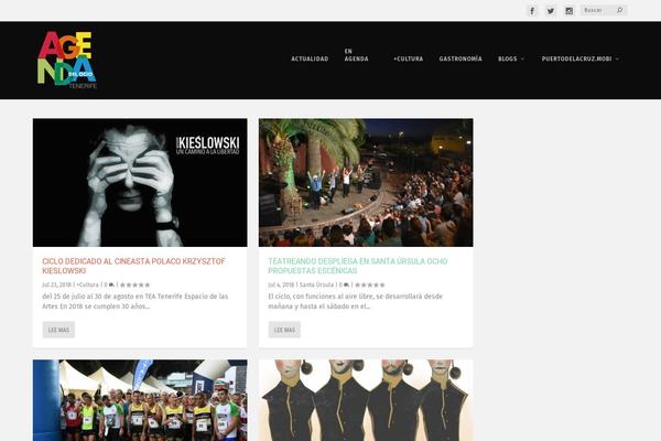 tenerifenorte.com site used Echeide-child