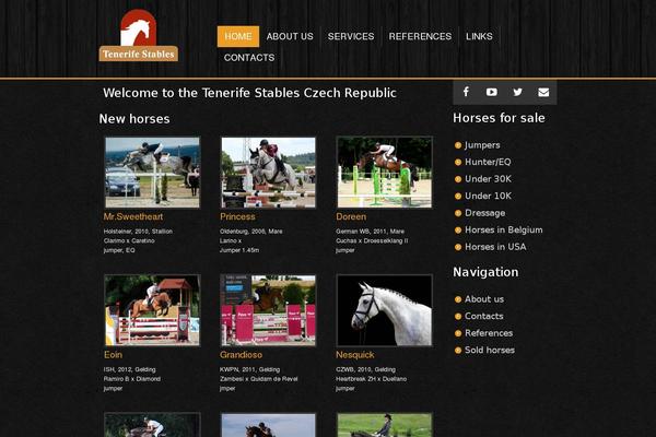 tenerife theme websites examples