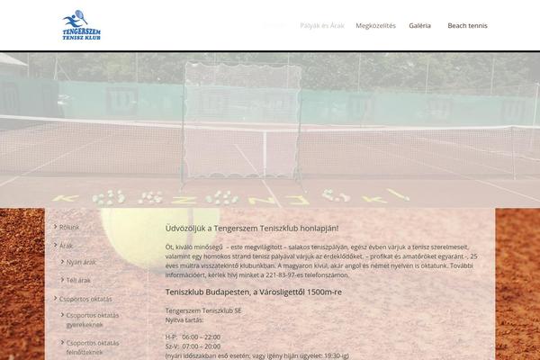 Sport theme site design template sample