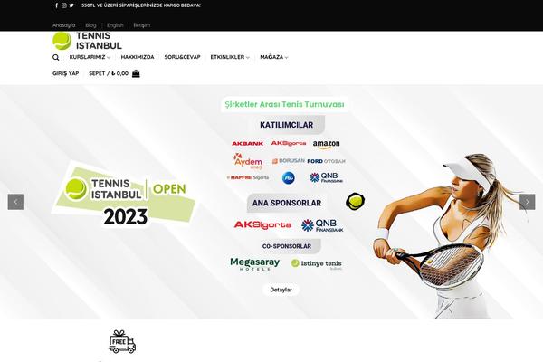 Web theme site design template sample