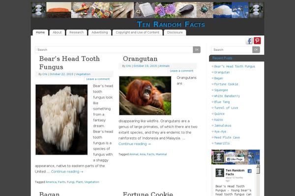Site using WP User Avatar plugin
