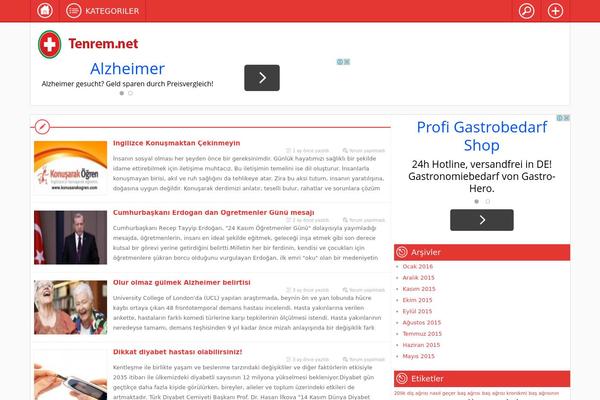bislog theme websites examples