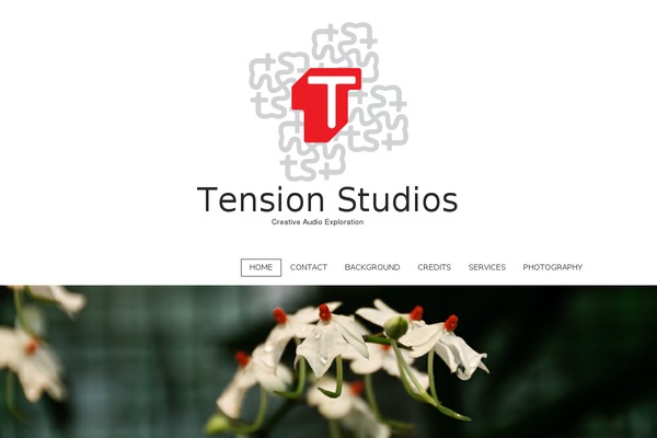 matheson-pro-child theme websites examples