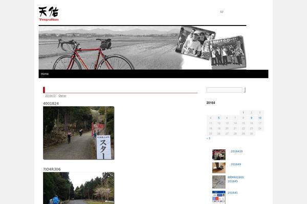 Site using Newpost Catch plugin