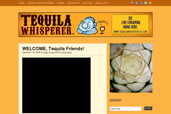 Site using CafePress Widget plugin