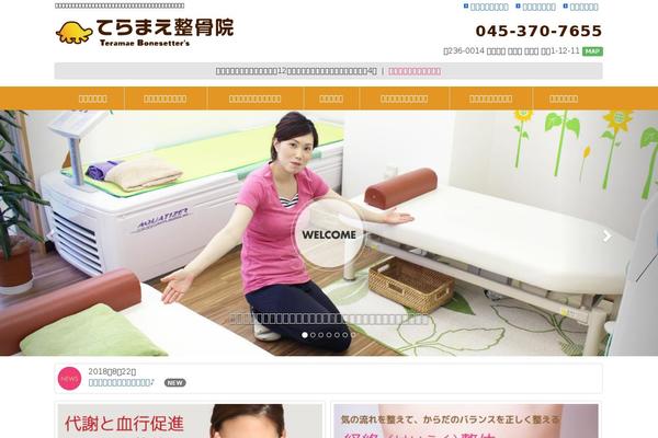 teramaeseikotuin.com site used Gate1_boot