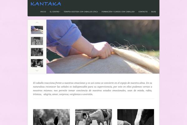 Site using FV Testimonials plugin