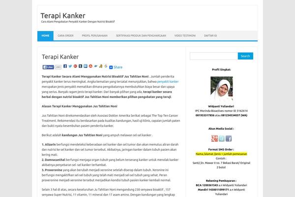 CityLogic theme site design template sample