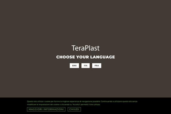Site using WooCommerce Multilingual - run WooCommerce with WPML plugin