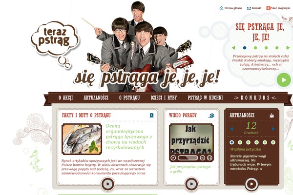 Site using AccessPress Pinterest plugin