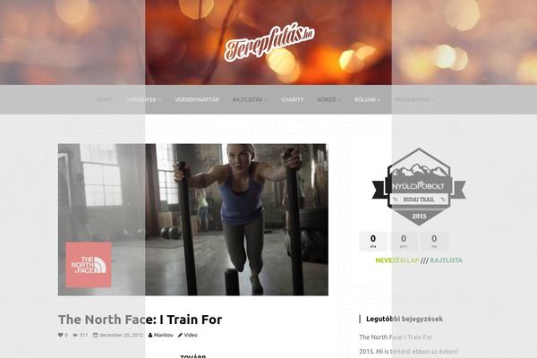 pagino theme websites examples
