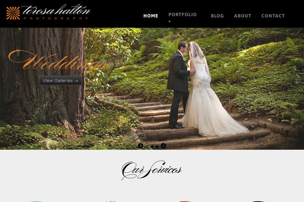 Mercury theme site design template sample