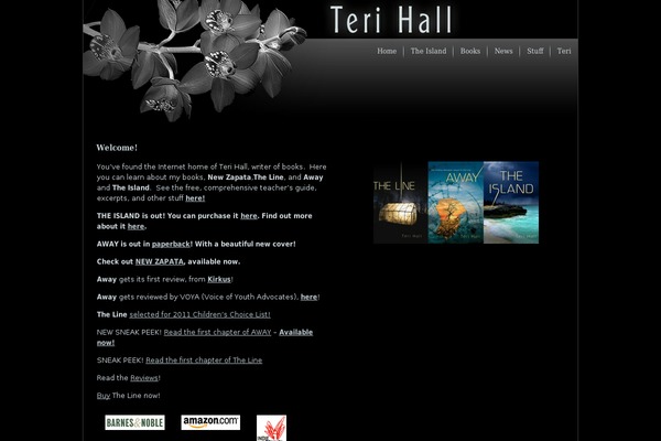 Site using WPaudio MP3 Player plugin