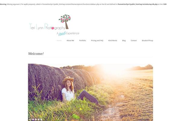 Ashe theme site design template sample