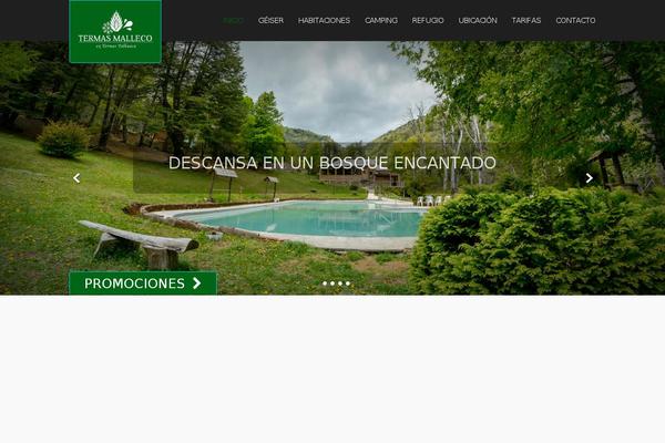 SKT Hotel Lite theme site design template sample