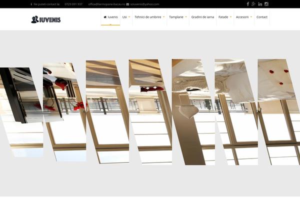 PRO Business theme site design template sample