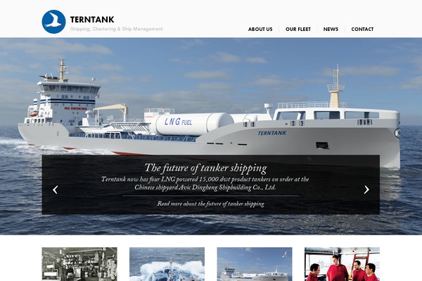 terntank.com site used Bolts-wp