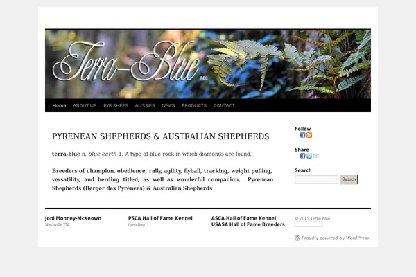 Moesia theme site design template sample