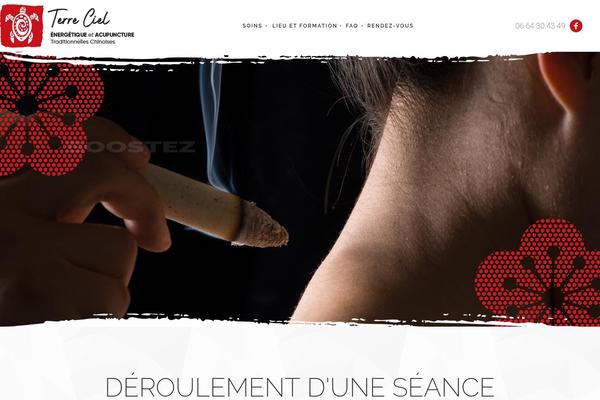 Chiropractor theme site design template sample
