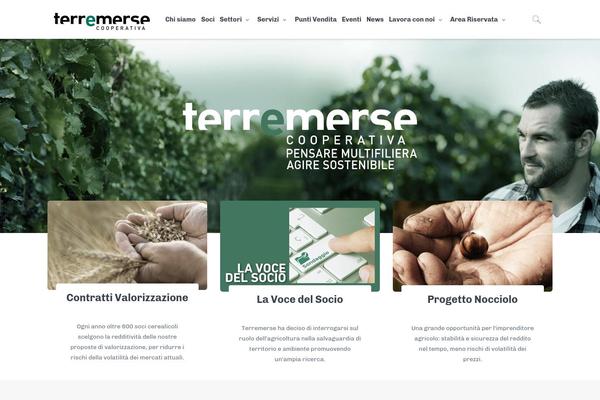 Site using Wp-carousel-pro plugin