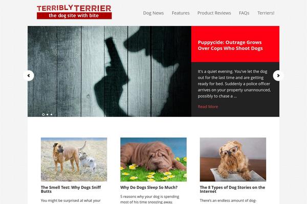 Site using Wp-show-posts-pro plugin