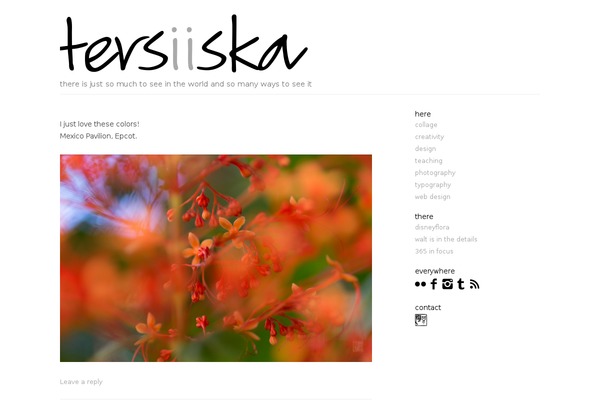 Site using Delightful Downloads plugin