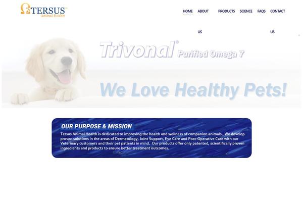 Highend theme site design template sample