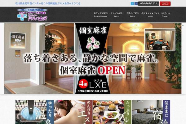 terume.net site used Terume